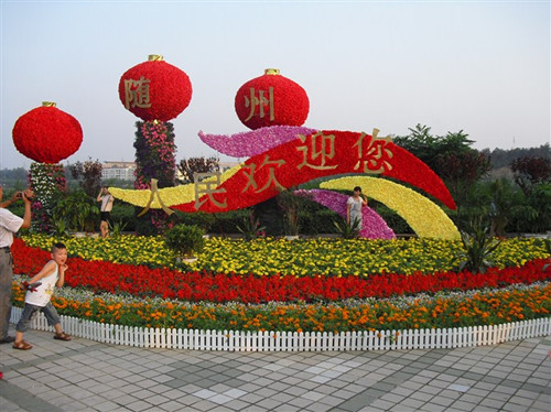 目展示